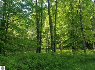 0 Dyer Rd SW, South Boardman, MI 49680