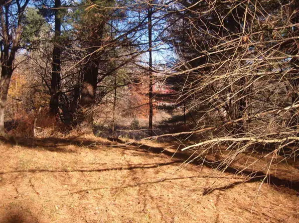 0 Elk Run Rd, Gaines, PA 16921