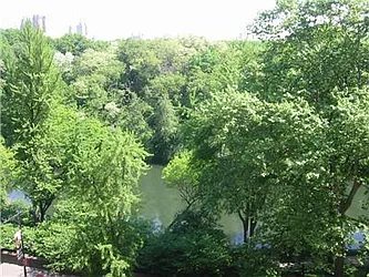 Rented by essential NEW YORK Real Estate