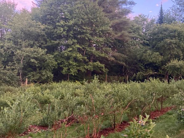 879 Hoag Rd, Johnson, VT 05656