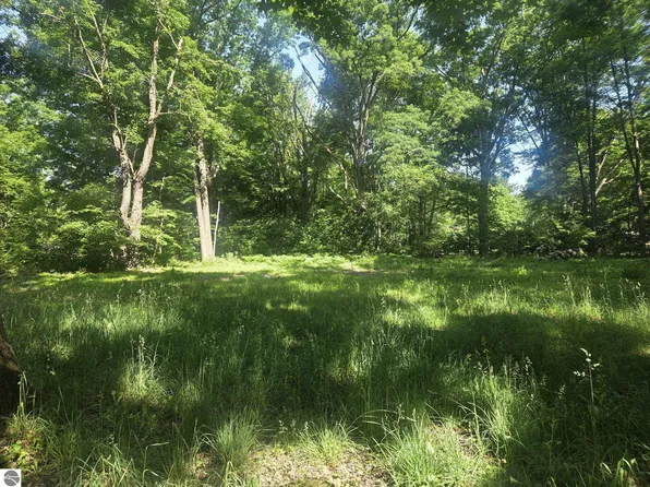7820 Wilderness Dr, Weidman, MI 48893