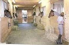 Attached Barn