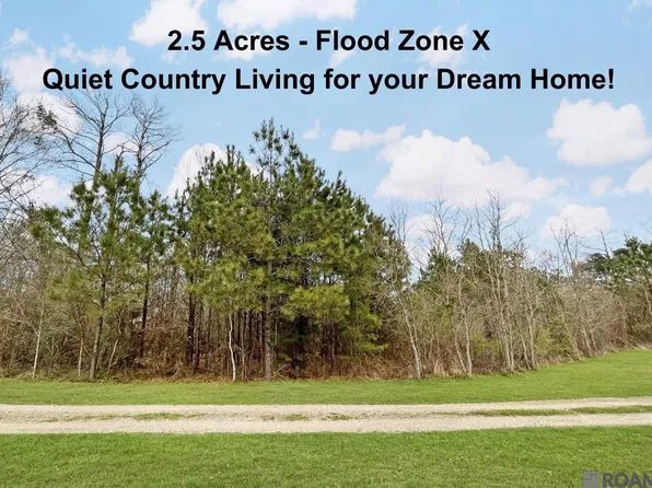 Dallie Ln, Denham Springs, LA 70726