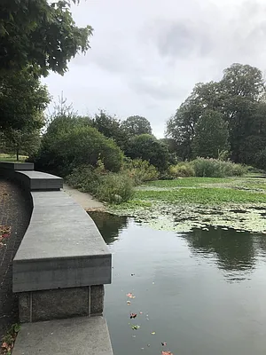 Rented by Space Real Estate | media 48