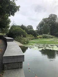 Rented by Space Real Estate