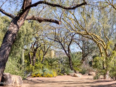 5660 N SAGUARO Road, Paradise Valley, AZ, 85253