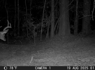 Tx 43/cr #3106, Jefferson, TX 75657