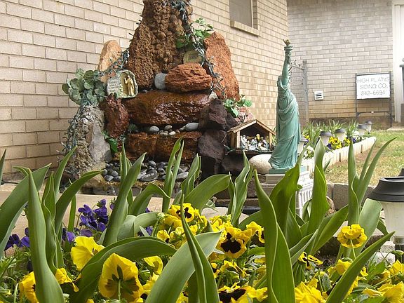 Water Fall and Tulips