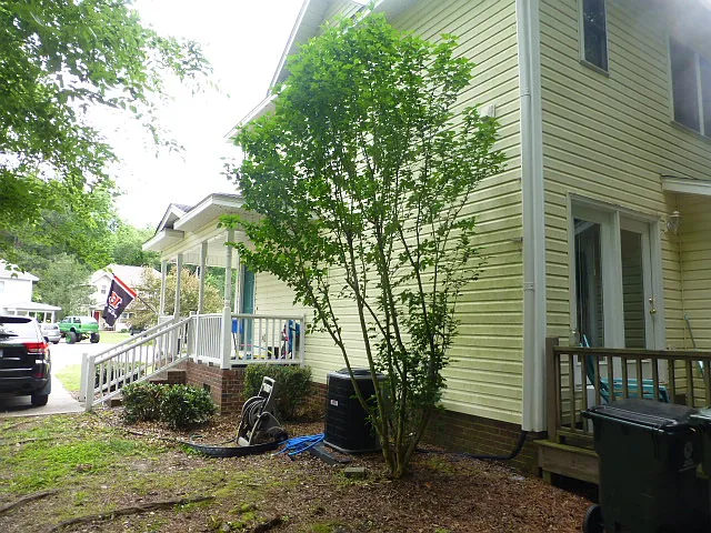 103 Laura Ln #A — Photo 3