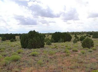 0 Concho Valley Lot 247 And 248, Concho, AZ 85924