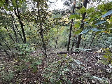 Property photo 69