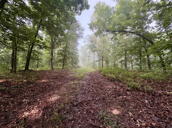 700 Bruce Mitchell Rd, Ravenden Springs, AR 72460