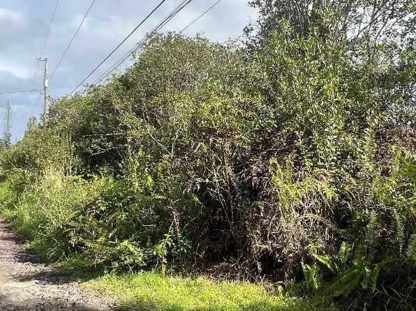 Road 7 Opeapea Lot 4806, Kurtistown, HI 96760