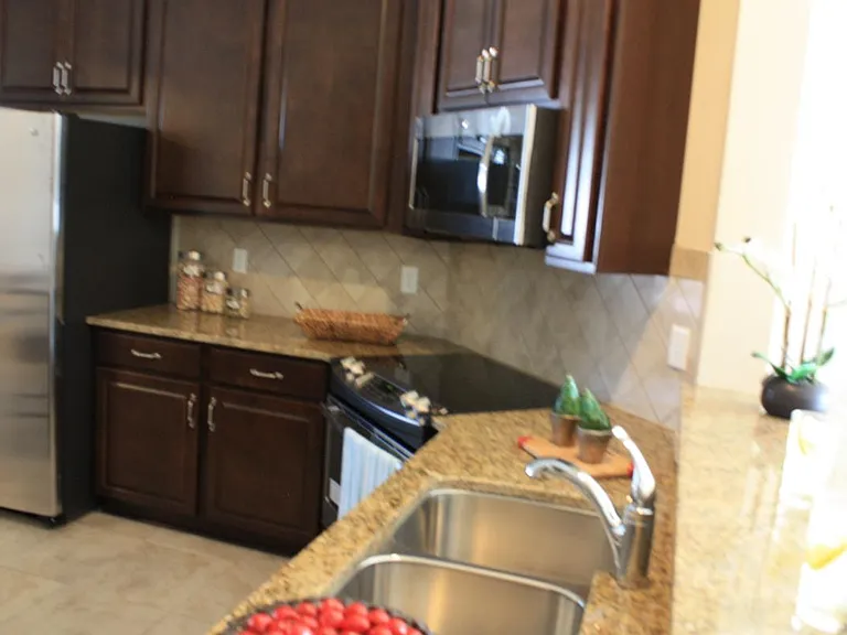 214 Flora Lake Cir — Photo 4