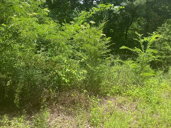 0 Jean Ridge Ln #7, Odenville, AL 35120