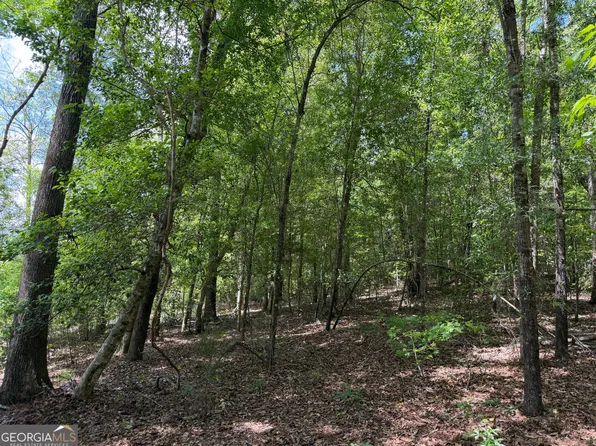 45 Little Sandy Creek Rd, Toomsboro, GA 31090