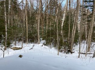 100 Edelweiss Rd, Ludlow, VT 05149