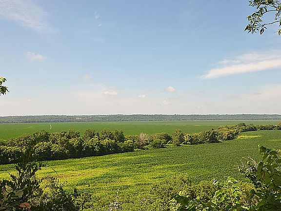 View from the deck