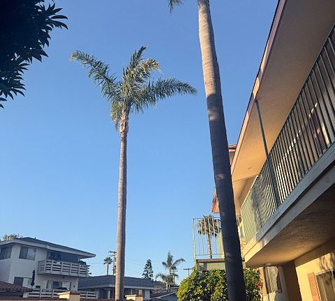 2nd image of 315 Avenida Granada APT 17