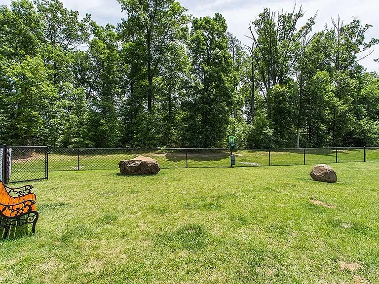 Dog Park