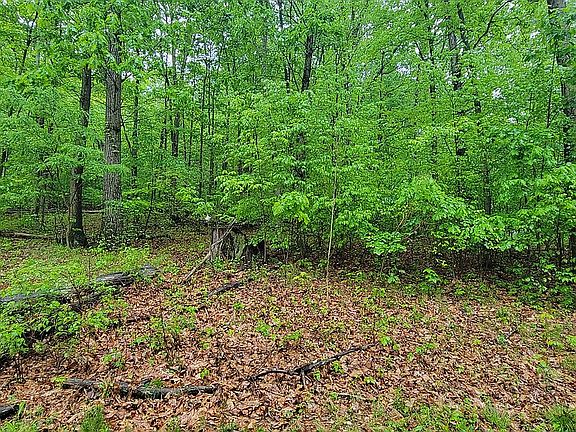 3rd image of 2117 Driftwood Ln #1