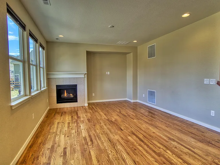Main level - family room with gas fireplace (14' x 14').