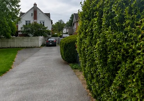 48 E Stewart Ave #B — Photo 2