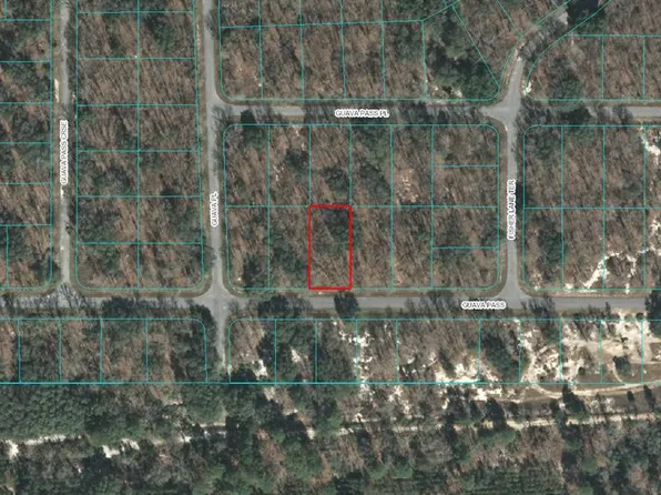 0 Guava Pass #7, Ocklawaha, FL 32179