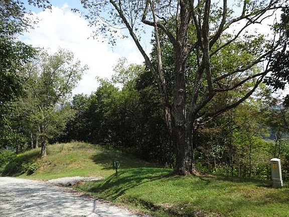 3rd image of Lot 5 Twin Hollows Lane