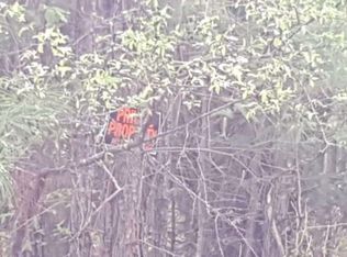 1405 Spann Rd, Wadley, GA 30477