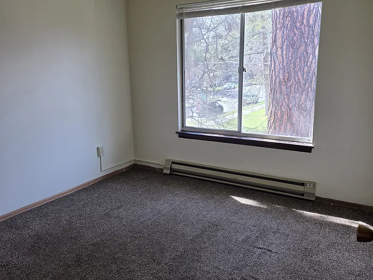 2126 W Pacific Ave #301 — Photo 4