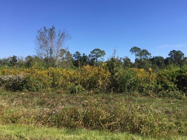 2nd image of 20402 Mennonite Rd