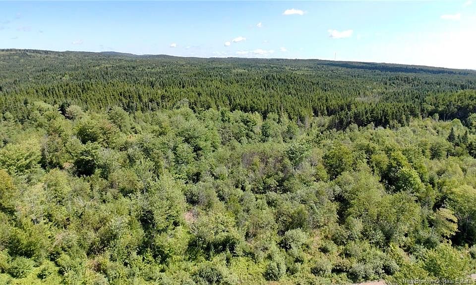 1st image of Old Gardner Creek Rd
