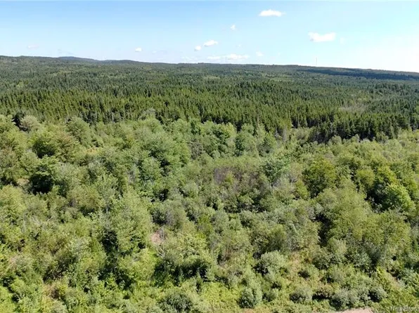 Old Gardner Creek Rd, Simonds, NB E2S 2B9