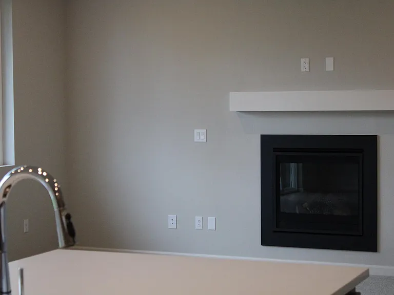 Gas Fireplace