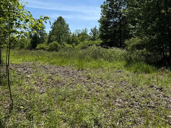 50th St, Bangor, MI 49013