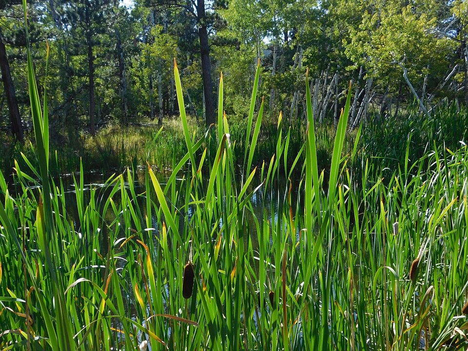 3257 Esterbrook Rd, Douglas, WY 82633 Zillow