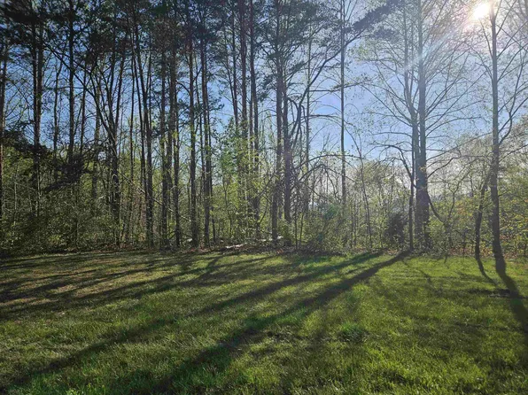 Tbd Woolwine Hwy, Woolwine, VA 24185