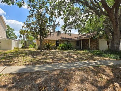 1425 Corner Oaks Dr, Brandon, FL, 33510