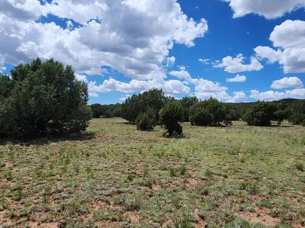 687A W Medicine Man Trl, Seligman, AZ 86337