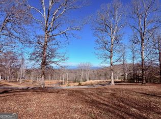 C4 Briarwoods Ln, Blue Ridge, GA 30513