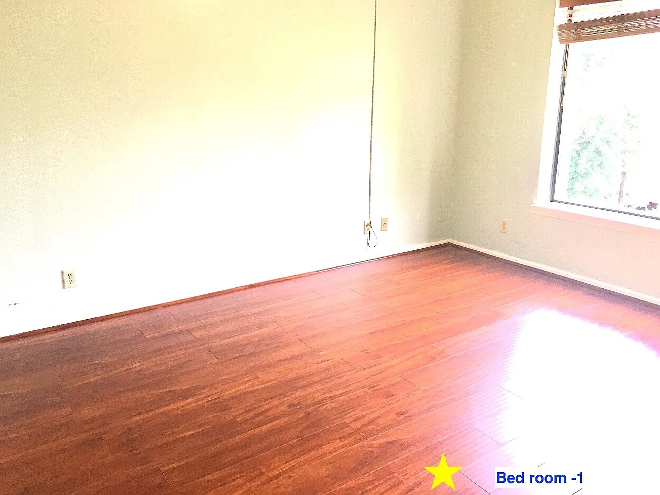 3 bed, 1259 sqft, $1,750 — Photo 2