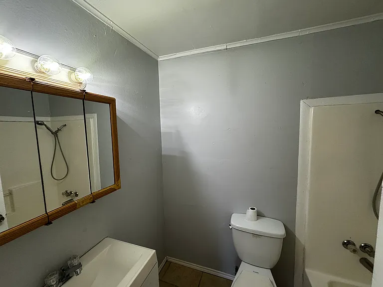 1309 Ann Arbor Dr — Photo 5