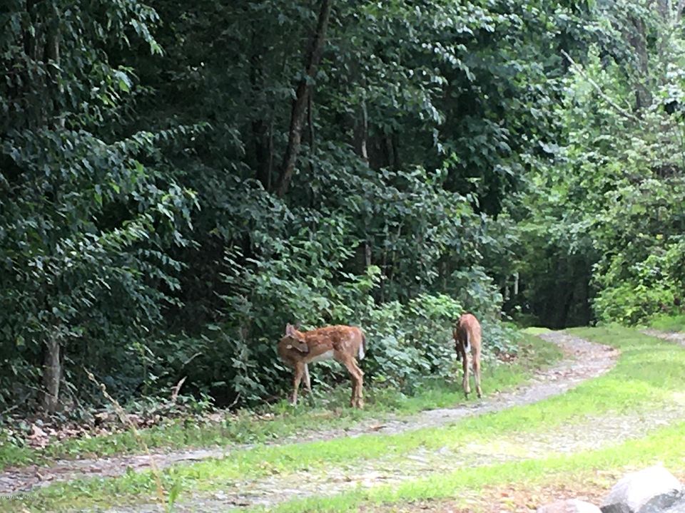 2nd image of Yeager Rd