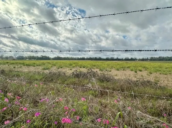 0 SW 80th St, Trenton, FL 32693