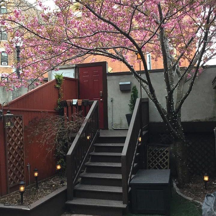Patio with beautiful blooming tree and flower garden