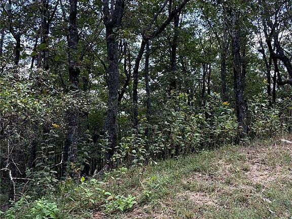 2nd image of 0 Little Hendricks Mountain Cir #290
