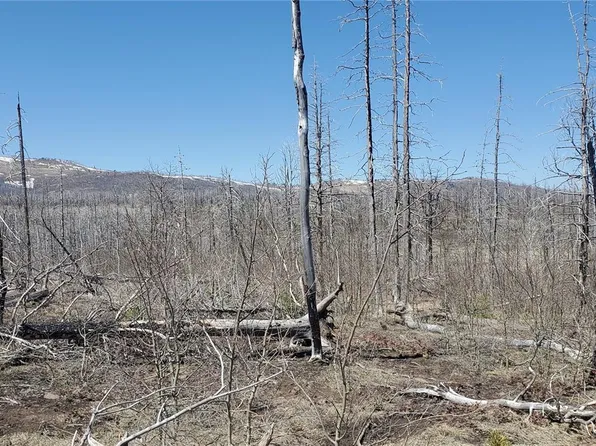 Lot 1667 Towey Place, Fort Garland, CO 81133