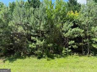 1425 River Rd, Warm Springs, GA 31830