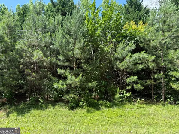 1425 River Rd, Warm Springs, GA 31830